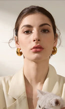 Load image into Gallery viewer, Chunky earrings
